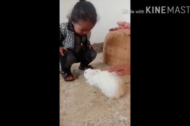Cute baby talking to rabbit.