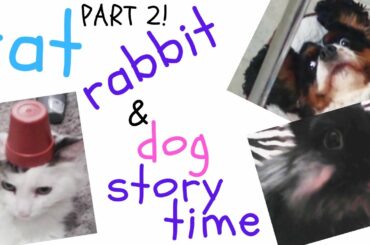 cute bunny cat and dog story time PART 2 FUNNY TALKING ANIMALS