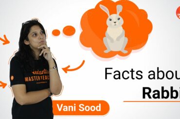 Amazing Facts About Rabbits | Unleash The Facts | Dr. Vani Sood | Vedantu Knowledge Nuggets