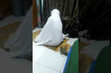Cute Rabbit at home (4)