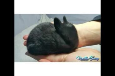 Cuteness Overload!