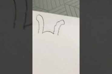 How to draw a cute bunny