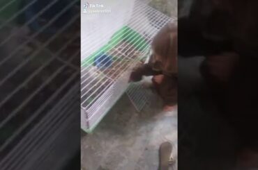 he's a really cute bunny