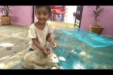 cute little baby 😘 playing and giving feeding to rabbit