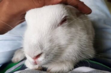 Snuggling with my BUNNY!!