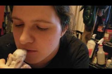Cute Baby bunny training for kisses.