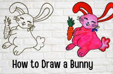 Rabbit drawing easy method | Cute bunny rabbit drawing | Kiddys Entertainment