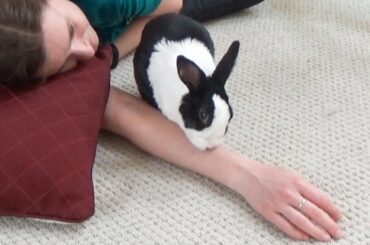 Rabbit giving girl a bath!