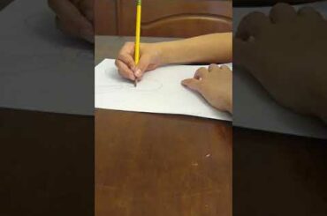 Sketching a Cute Bunny