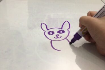 Little cute bunny