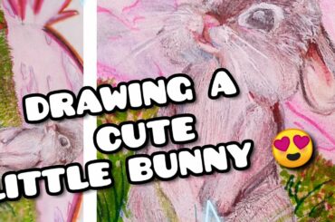 drawing a cute bunny 🐰✍️