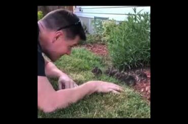 Bunny party😍
