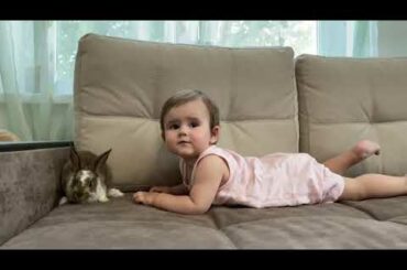Cute baby and Rabbit playing eachother looking soo cuteee 🥰