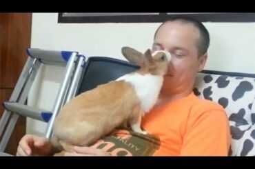 My cute bunny want to play with me