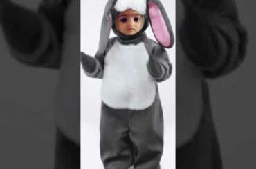 a cute rabbit