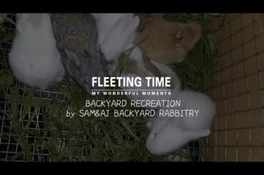 #throwback: BABY BUNNIES