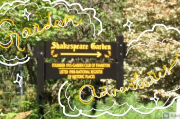 Garden Adventure Vlog: bardcore music, DRAMA, baby bunnies