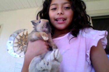 (Showing you my cute bunny)❤️