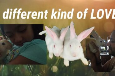 CUTE BUNNIES || A DIFFERENT KIND OF LOVE