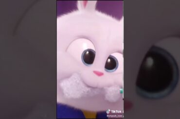 Cute bunny awwwwww