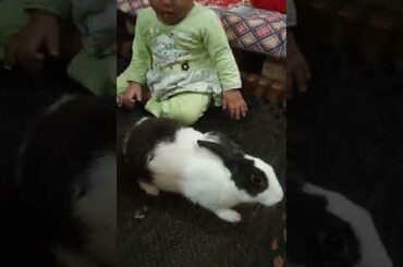 Cute Baby Playing with Beutifull Rabbit