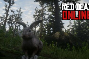 Red Dead Online - I am a Rabbit now (IT WILL COST YOU 8 GOLD BAR!!!!!)