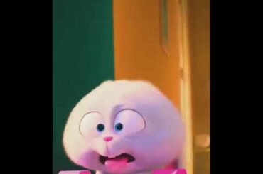 cute bunny ❤❤❤💞💞💞