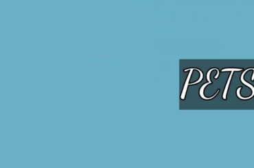 Cute Pet Bunnies/Pictorial w/some of my pet Bunnies