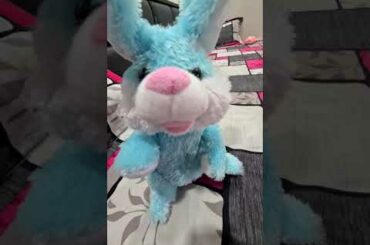 Cute rabbit