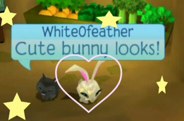 Cute bunny looks in Animal Jam!