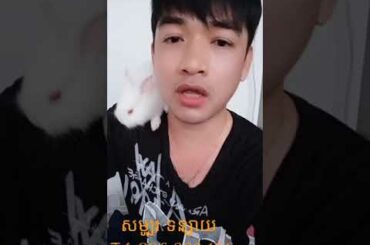cute bunny