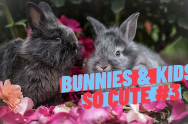 cute bunny and kids great compilation #3 / ONLINE ZOO