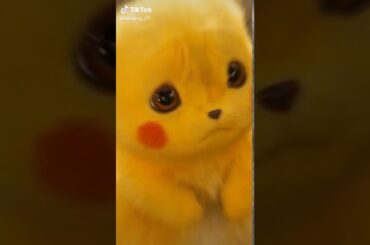 😍😍😍Cute rabbit video