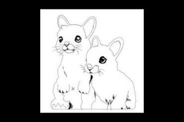 Ghost bunnies to cute bunnies
