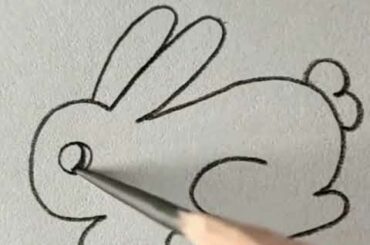 cute rabbit