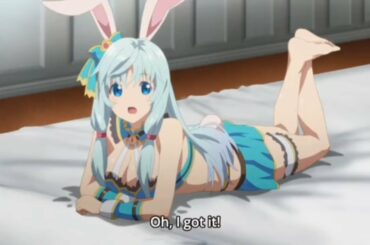 Super Cute Bunny Wants to Travel the World