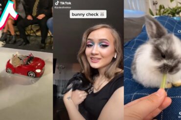 🐰 Funny Bunny Rabbit TikTok Compilation 6 [2020] | Cute Fluffy Rabbits of Tik Tok Viral