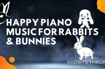 Happy Piano Music for rabbits & bunnies (1H 02 Min) Jumping and Playing Music For Pets & Animals