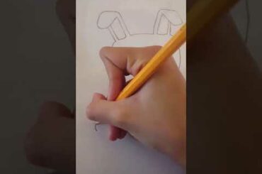 How to draw a cute bunny for beginners