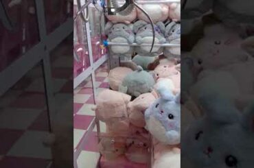 Claw Machine Cute Bunny