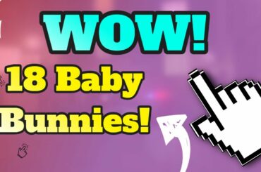 Rabbit Gives Birth To 18 Cute Baby Bunnies!