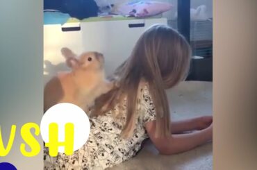 What did the cute bunny do to the girl