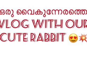 A small evening vlog 😍|with our cute rabbit 🐇 |Achus vlogs