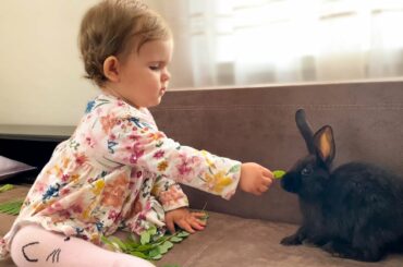 Cute Baby Funny Feeding a Rabbit!