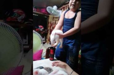 Cute kids belongs with rabbit