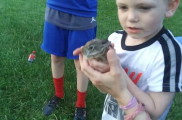 Boy cries over baby rabbit (heartwarming)