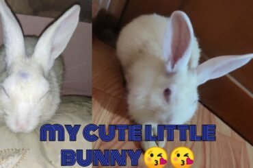 My cute rabbit licks me 😀😂