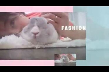 Cute bunny loves being pat pat