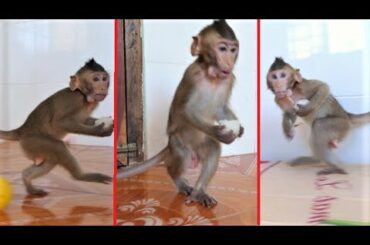 Super funny baby Dalton does rabbit style walk holding cake cheer up surprise dad,