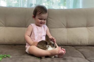 Baby Feeding a Rabbit [TRY NOT TO LAUGH] Cute Babies